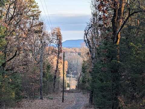 0 Water Tower Road, Atkins, AR 72823