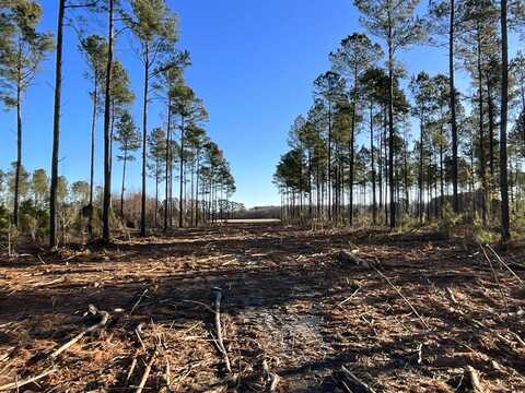 TBD Laughlin Rd., Marion, SC 29571