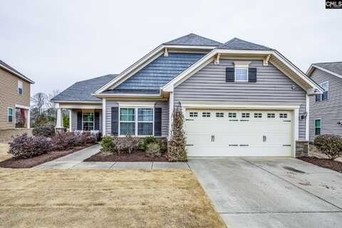 270 Massey Circle, Chapin, SC 29036