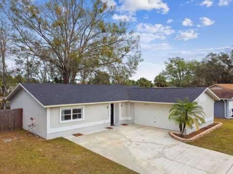 4920 STEEL DUST LANE, LUTZ, FL 33559