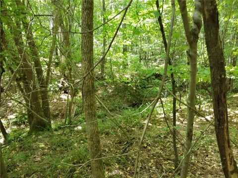 000 Town Creek Road, Franklin, GA 30217