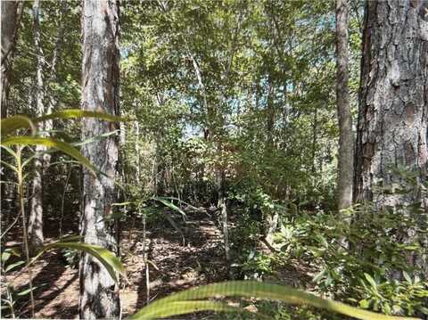 0 Royal River Drive, Coden, AL 36523