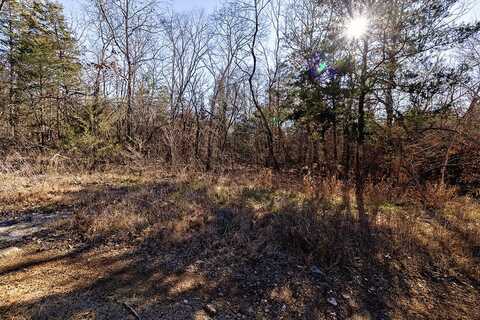 Lot 4 Sandstone Road, Merriam Woods, MO 65740