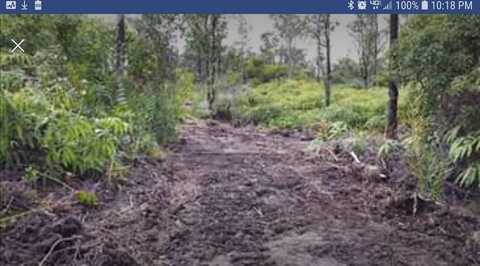 ROAD 1 (UHINI ANA), Mountain View, HI 96760