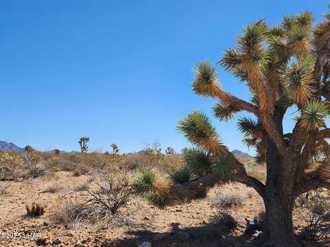 0 E Hondo Dr, Yucca, AZ 86438