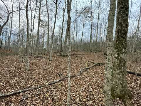 Lot 26 Tateville Antioch Road, Burnside, KY 42519