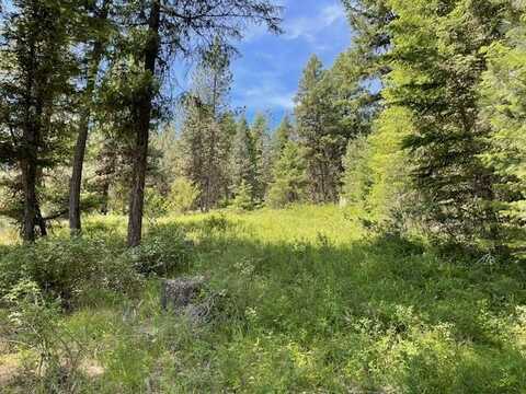 Lot 20 Little Salmon Road, New Meadows, ID 83654