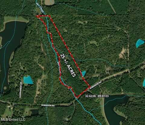 Robinson Road, Canton, MS 39046