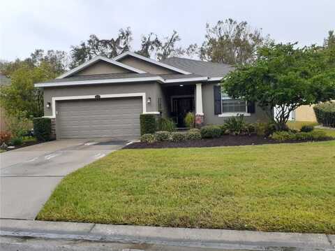 2815 HOLLY BLUFF COURT, PLANT CITY, FL 33566