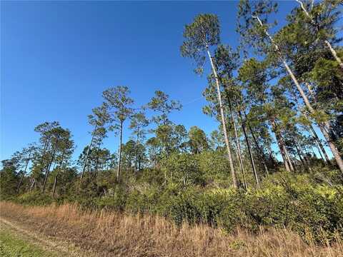 2.7ac - E Hwy 318 E HWY 318, CITRA, FL 32113