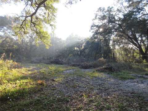 19165 SE 97TH PLACE, OCKLAWAHA, FL 32179