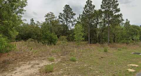 6505 N VARSITY AVENUE, CITRUS SPRINGS, FL 34434