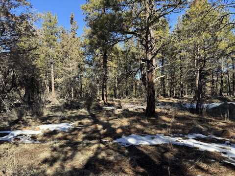 Golden Eagle Drive, Bonanza, OR 97623