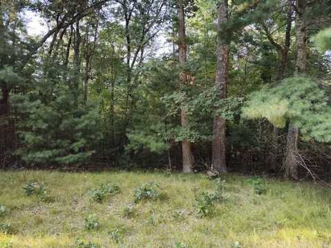 Lot 32 Badger Court S, Arkdale, WI 54613