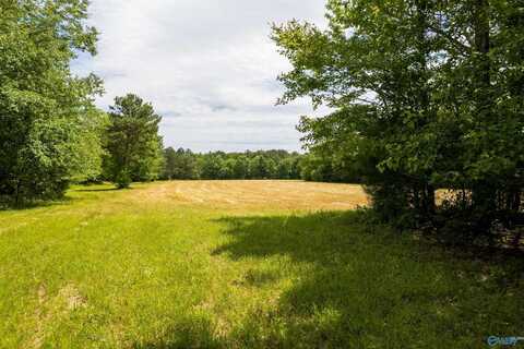 343 County Road 814, Flat Rock, AL 35966