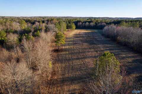 343 County Road 814, Flat Rock, AL 35966