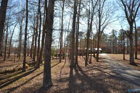 371 Good Hope School Road, Cullman, AL 35057