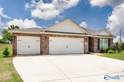 100 River Springs Court, New Market, AL 35761