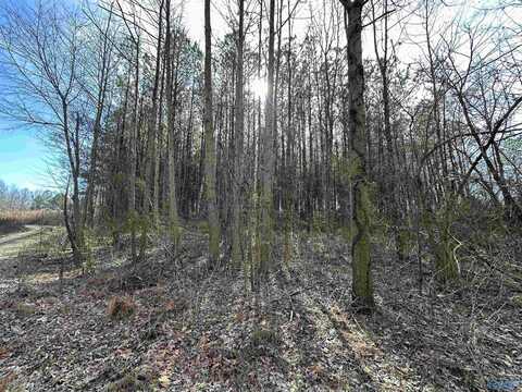 11acres Poplar Springs Road, Albertville, AL 35951