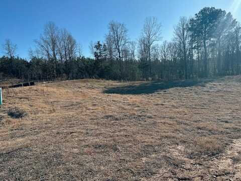 827 McCleary Dr, Oxford, MS 38655