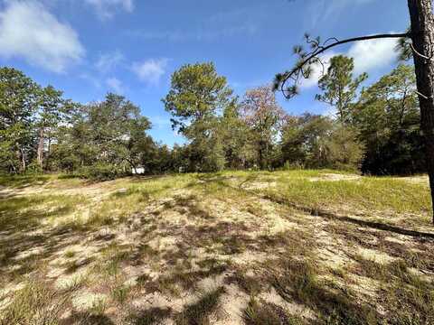 0 Guava Pass, Ocklawaha, FL 32179