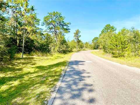 0 Guava Pass, Ocklawaha, FL 32179