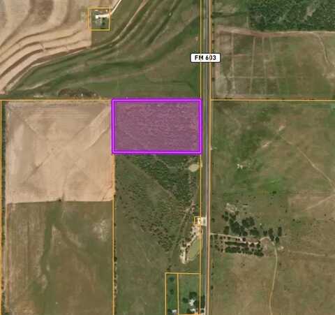 Tbd Lot 1 (10 Acres) FM 603, Clyde, TX 79510