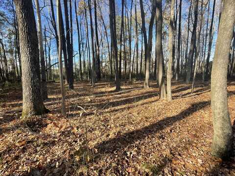 Lot 5 - 0 Five Farms Dr, Princess Anne, MD 21853