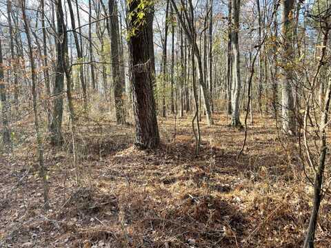 Lot 7 - 0 Five Farms Dr, Princess Anne, MD 21853