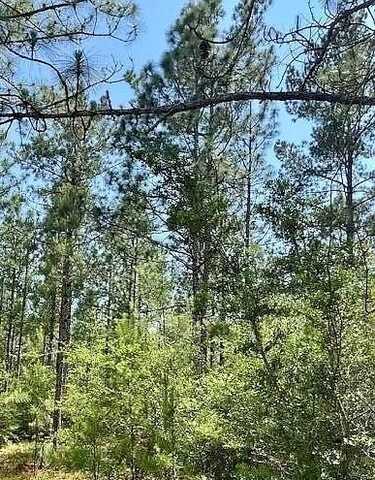 NHN Magee Lane Lot 220, Lumberton, MS 39455