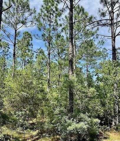 NHN Audubon St Lot 209, Lumberton, MS 39455