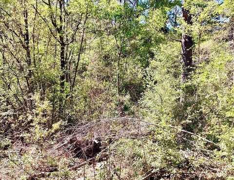 NHN Plantation Lane Lot 31, Lumberton, MS 39455