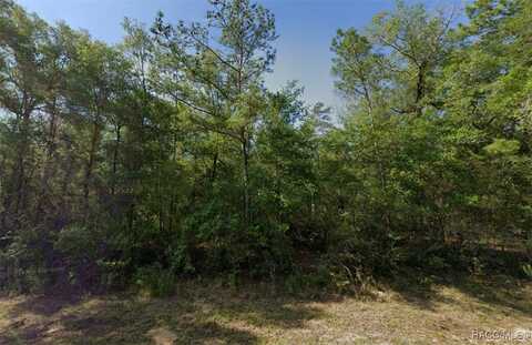 394 E Overdale Lane, Dunnellon, FL 34434