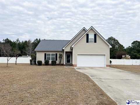 2677 Crickintree Lane, Darlington, SC 29532