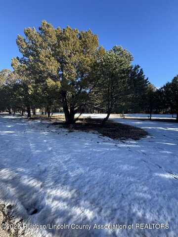 Lot 90 Deer Park Drive, Alto, NM 88312