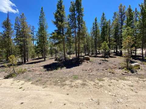 436 JUNIPER DRIVE, Leadville, CO 80461