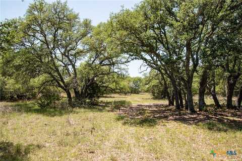 Tbd Lot 82 Shin Oak Drive, Lampasas, TX 76550