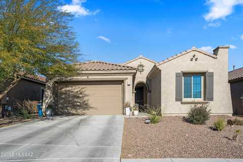 649 E Barun Vly Place, Oro Valley, AZ 85755