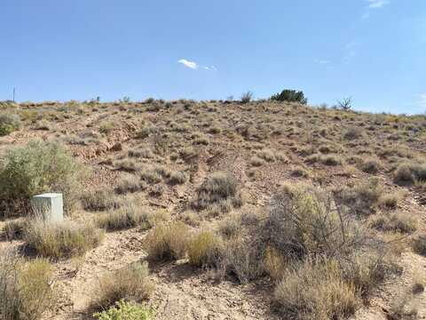 Desert Marigold, RIO RANCHO, NM 87144