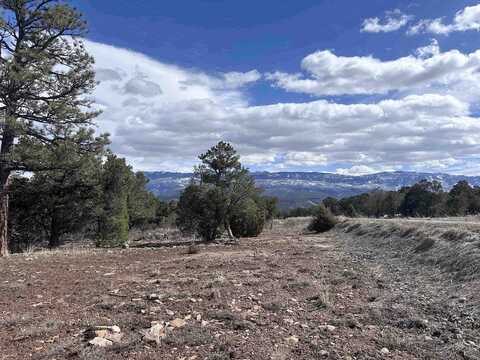 Tbd Ponderosa Drive #10, Ridgway, CO 81432