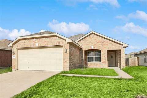 Firebush, HASLET, TX 76052