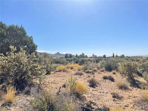 Tuckahoe Avenue, Chloride, AZ 86431