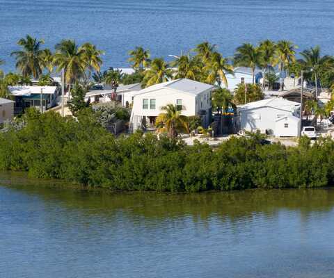 Sea Whip, SUMMERLAND KEY, FL 33042