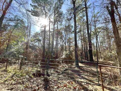 Phillips Springs, Gladewater, TX 75647