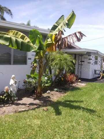 Royal Palm, NEW PORT RICHEY, FL 34652