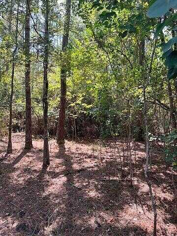 Wedgewood Drive, Bonifay, FL 32425