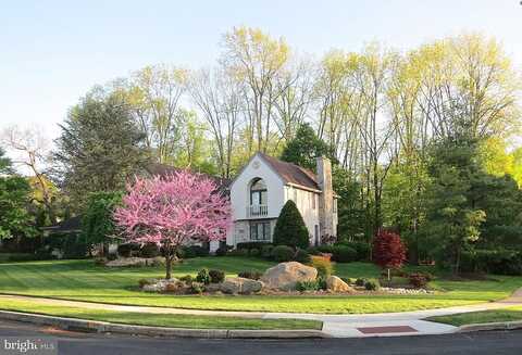 Jem, AMBLER, PA 19002