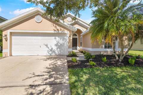 Mandolin, KISSIMMEE, FL 34744