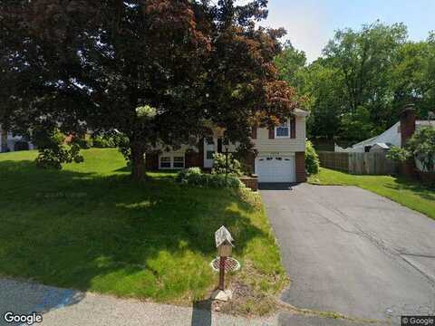 Rose, GLENSHAW, PA 15116