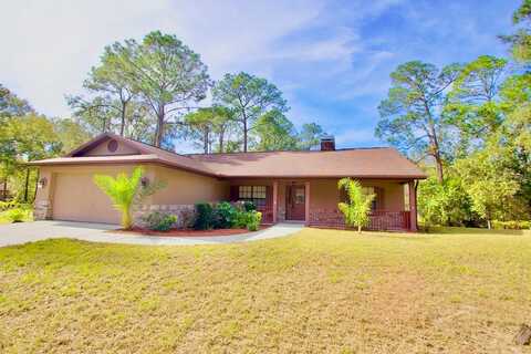 Frances, WESLEY CHAPEL, FL 33544